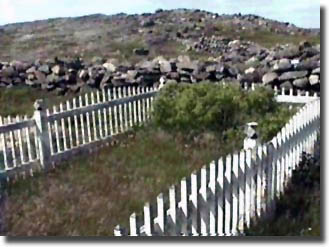 Grates Cove UC Cemetery